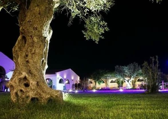 Masseria Colle Carro Ba07200451000019667 Altamura Ngoại thất bức ảnh